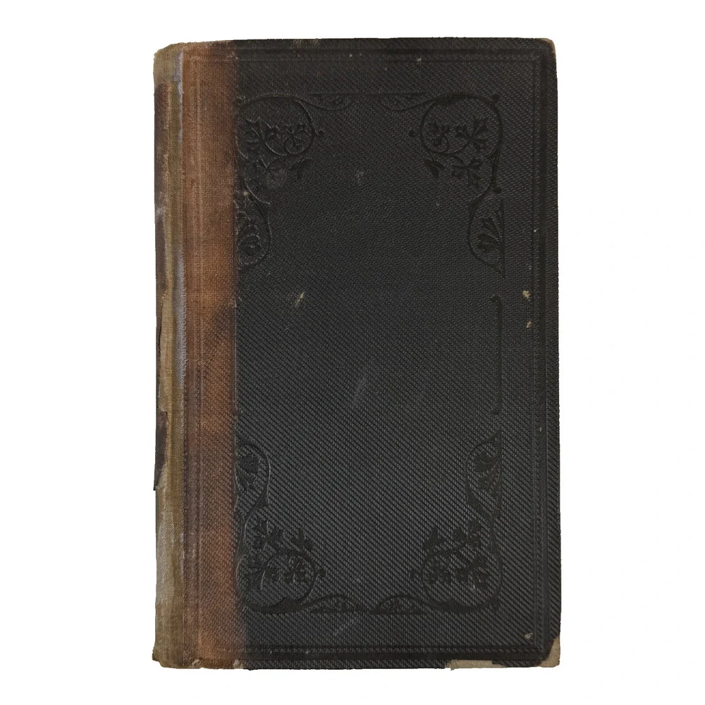 Biblical Commentary on the Book of Job Vol II by F. Delitzsch 1872 Antique Book